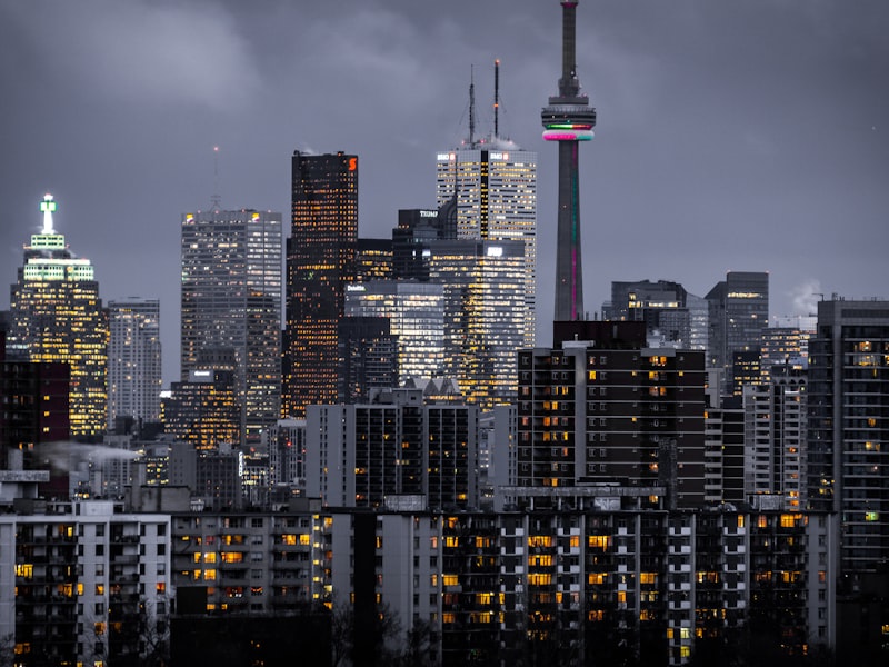 Construction professionals at work